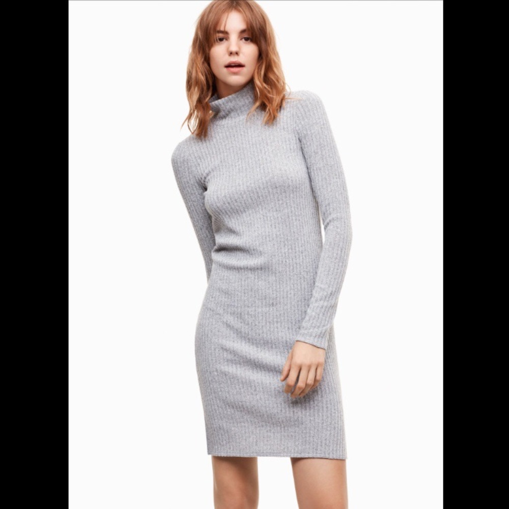 Aritzia Wilfred Free Mariel Knit Dress